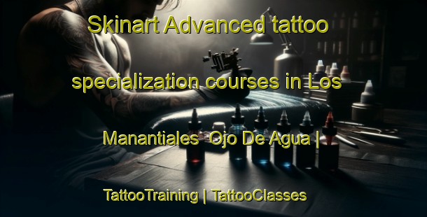 Skinart Advanced tattoo specialization courses in Los Manantiales  Ojo De Agua | TattooTraining | TattooClasses | SkinartTraining-Mexico
